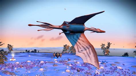 nms dragon companion.